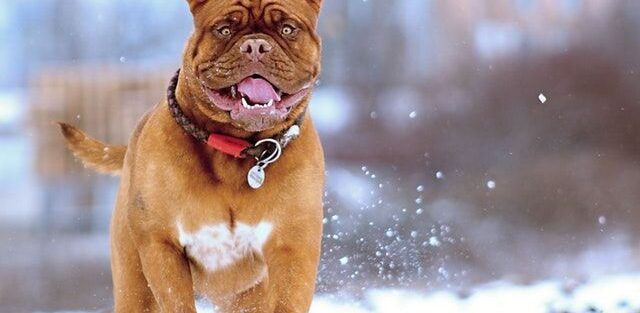 viajar en coche seguros
