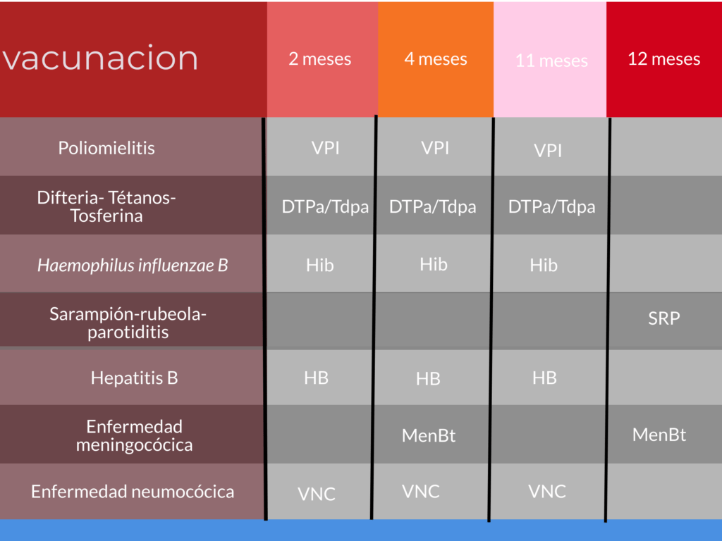cuadro vacunación seguro de salud